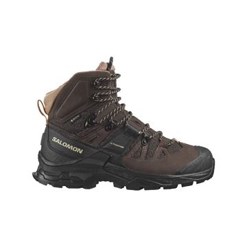 Picture of SALOMON - QUEST 4 GTX W